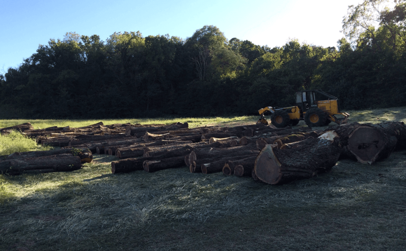 process monitor logging process monitor logging