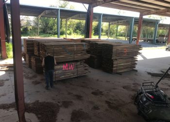 Our Sawmill In Action