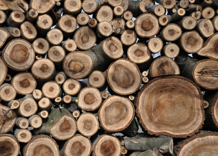 Logging Contractor Missouri